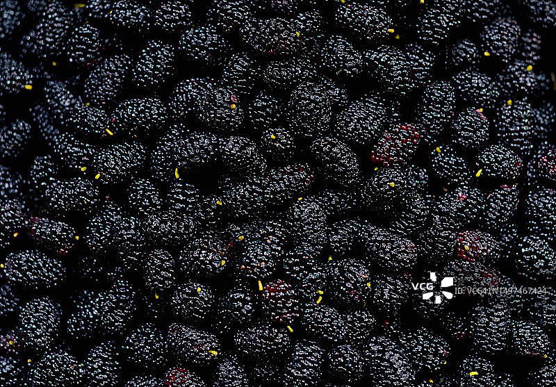 传统市场上出售的堆叠黑桑葚特写图片素材