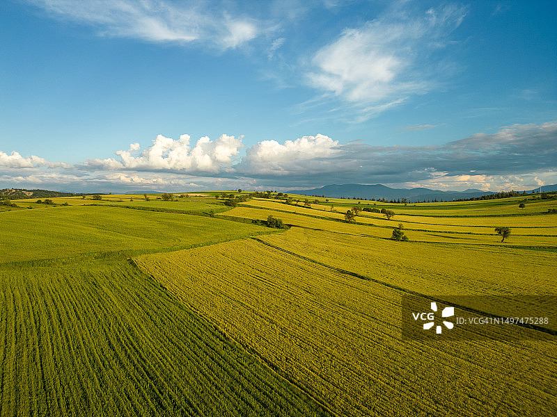 日落时分美丽的绿色田野壁纸航拍图片素材