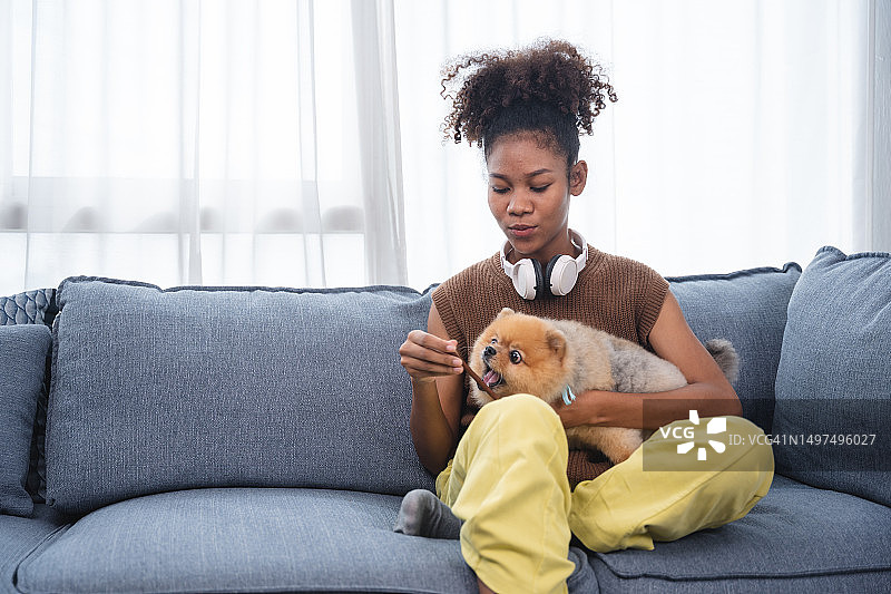 年轻的黑人妇女坐在家里的沙发上喂她的狗图片素材