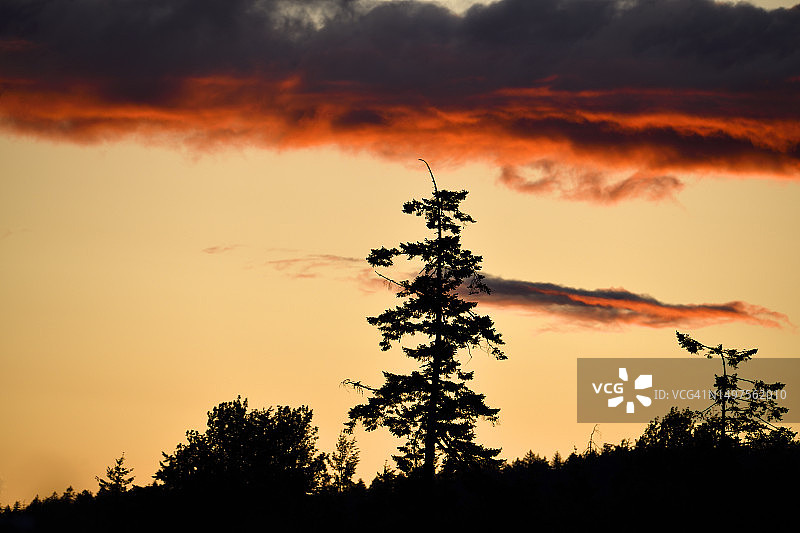 血红色天空下图片素材