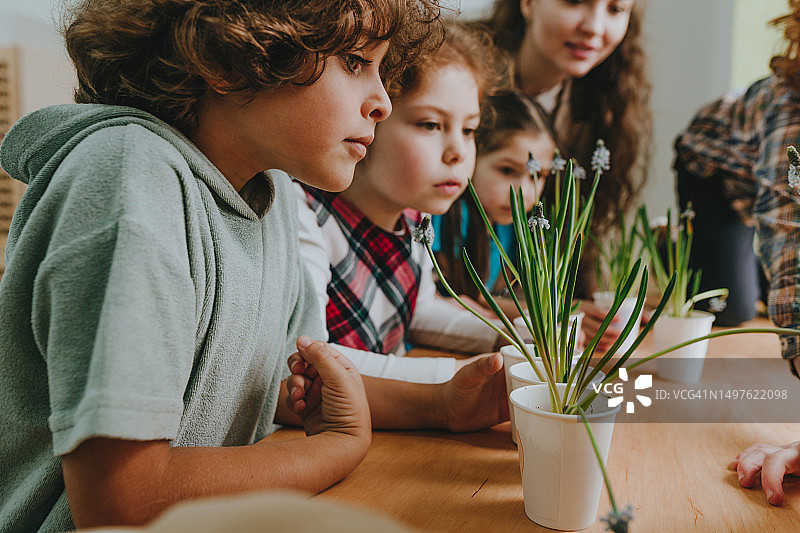 老师和学生们观察纸杯里种植的花苗图片素材