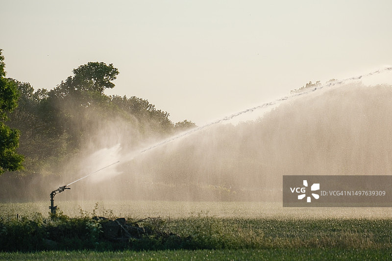 夏季白天田野里的作物灌溉图片素材