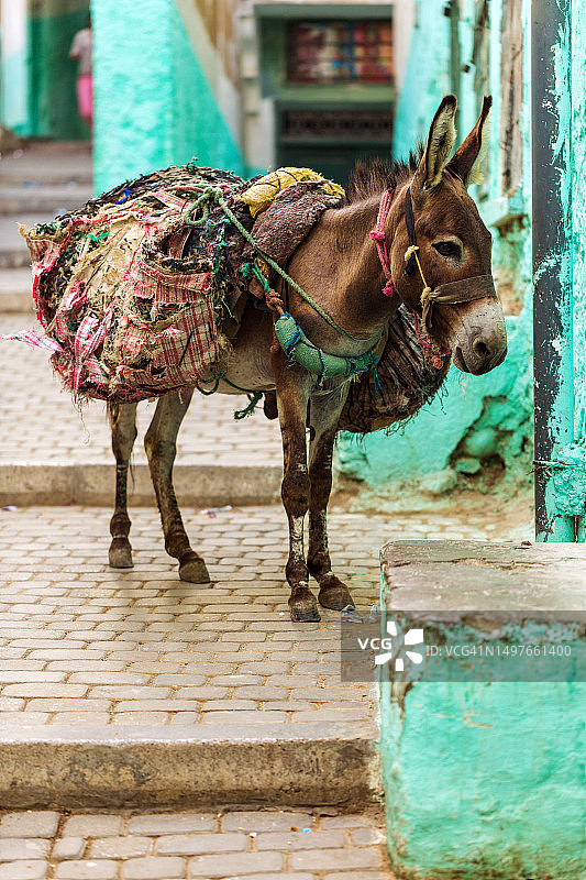 穆莱·伊德里斯·泽尔洪，中阿特拉斯山脉，摩洛哥，北非图片素材