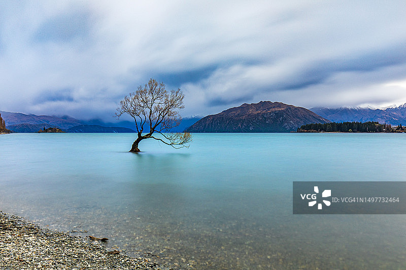瓦纳卡湖中的树木与暴风雨的山脉背景图片素材