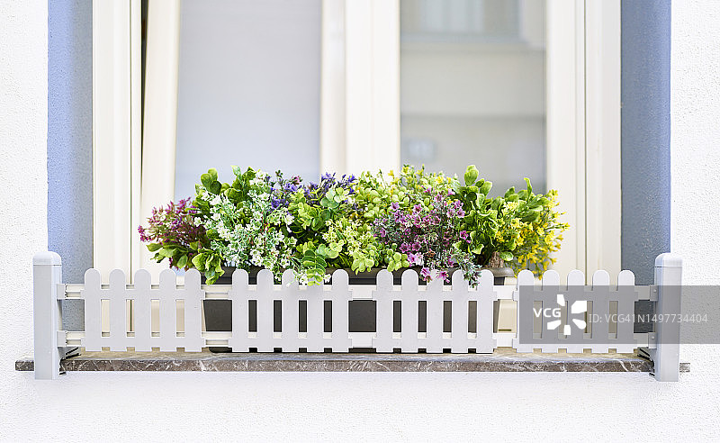 白色窗格边缘种植的彩色盆栽花卉图片素材