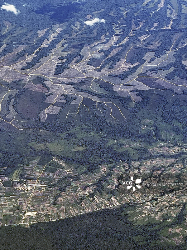 苏门答腊岛森林开伐区的种植园清理图片素材