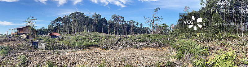 苏门答腊雨林砍伐图片素材