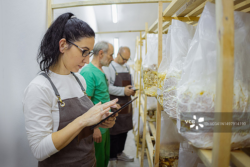 蘑菇生长冷却技术图片素材