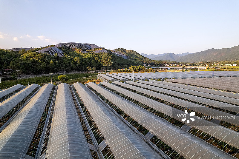 壮观的有机农场温室图片素材