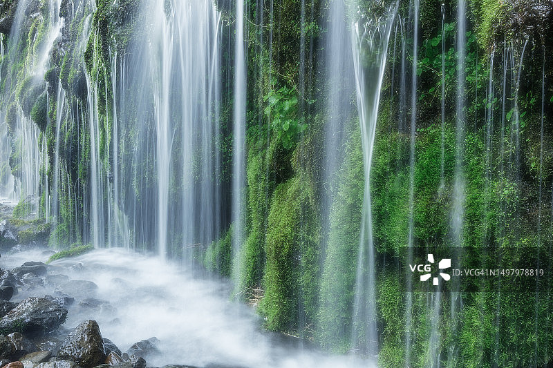 苔藓与水图片素材