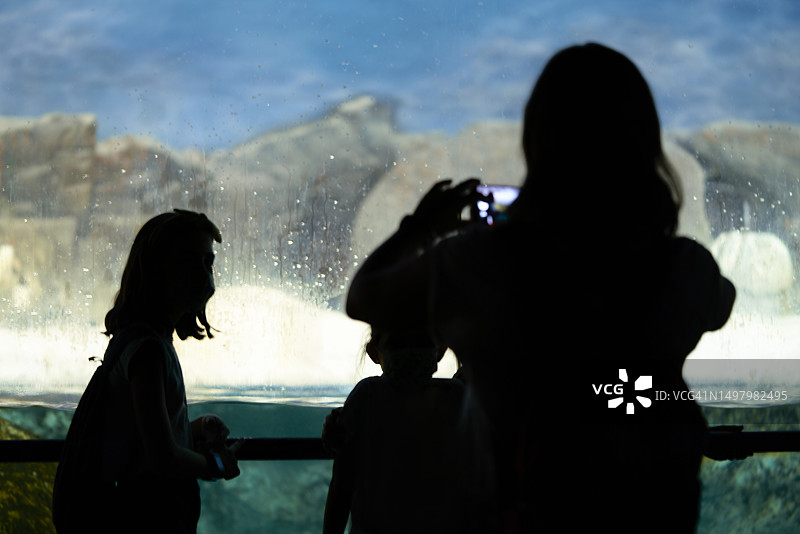一个女人和两个女孩的轮廓，女人正在用手机给女孩们拍照，背景是动物园的鱼缸图片素材