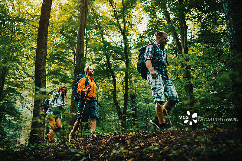 朋友们在树林里徒步旅行图片素材