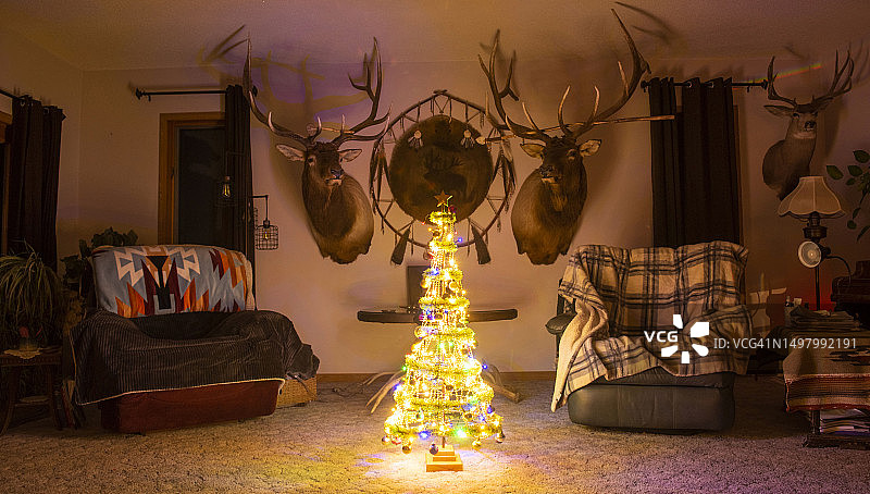 我的圣诞小树图片素材