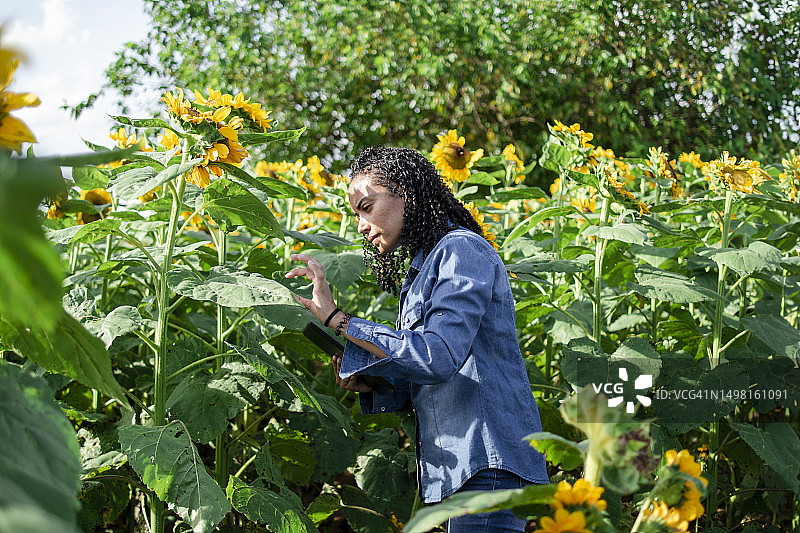 种植园里的女人图片素材