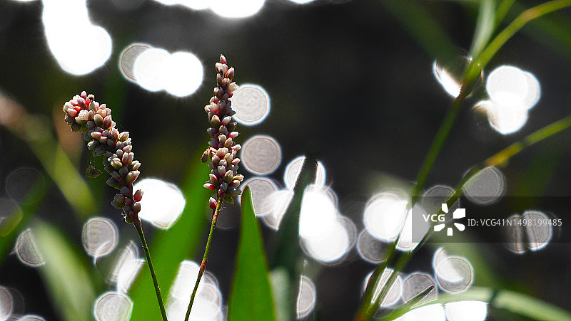 光线之前图片素材