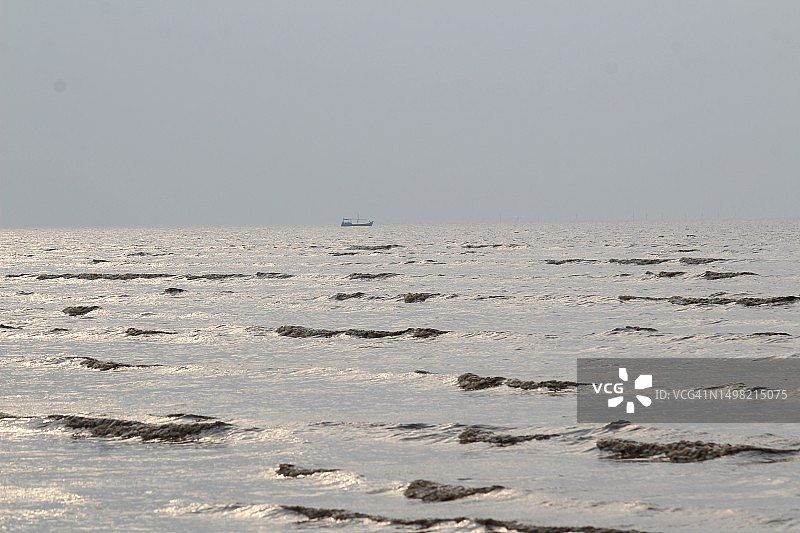 印度达曼和第乌的海洋生活图片素材