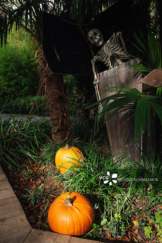 万圣节公园装饰：墓地、墓碑、骷髅和十字架图片素材