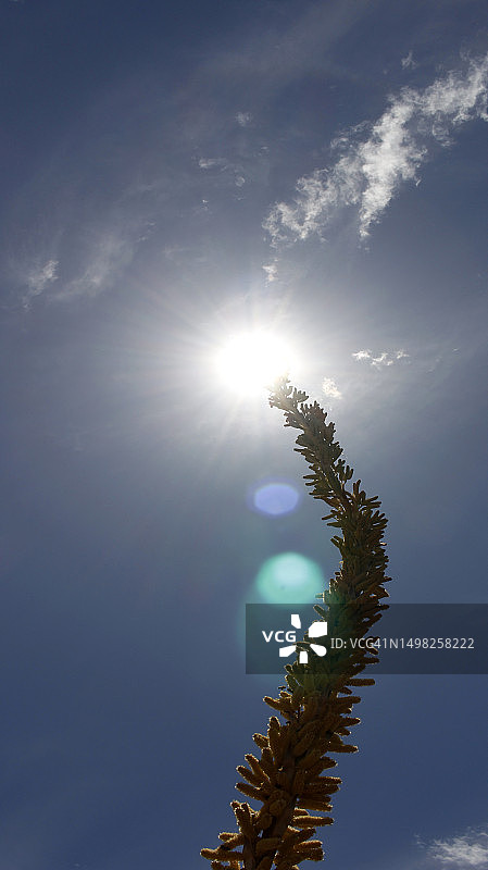 尝试联系你图片素材