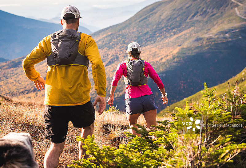 男人和女人带着狗在日出时在山中跑步图片素材