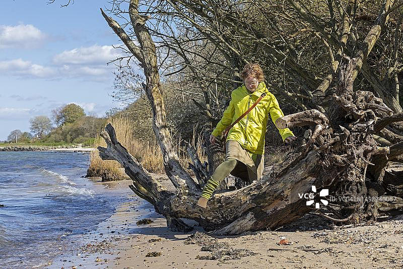 年长的女人在德国石勒苏益格-荷尔斯泰因州霍尔尼斯半岛北海岸的海滩上爬过树根图片素材