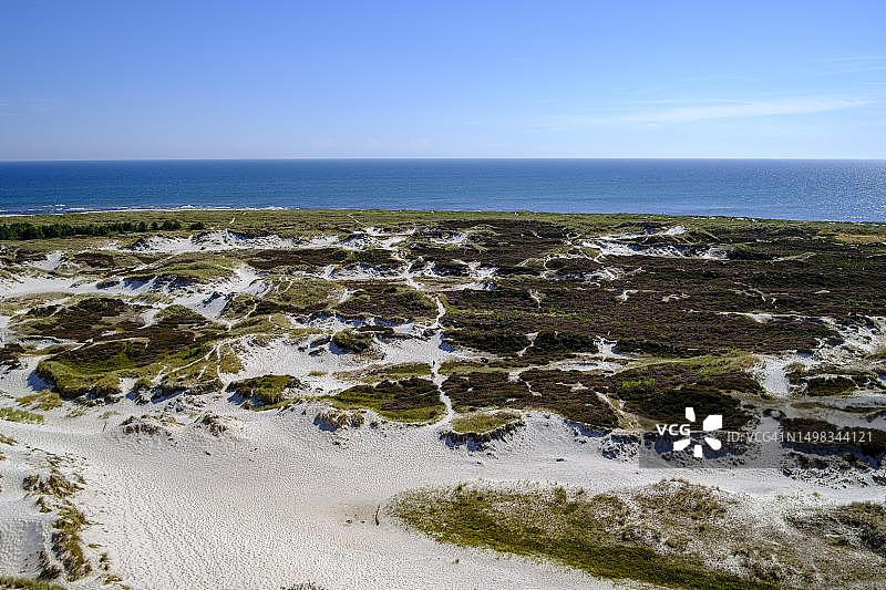 丹麦博恩霍尔姆岛Dueodde Strand沙滩的沙丘景观图片素材