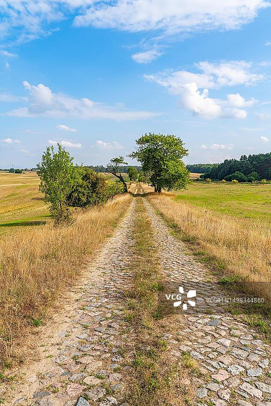 空旷的鹅卵石徒步小路，位于德国勃兰登堡Uckermark的Angermuende附近的Steinhoefel图片素材