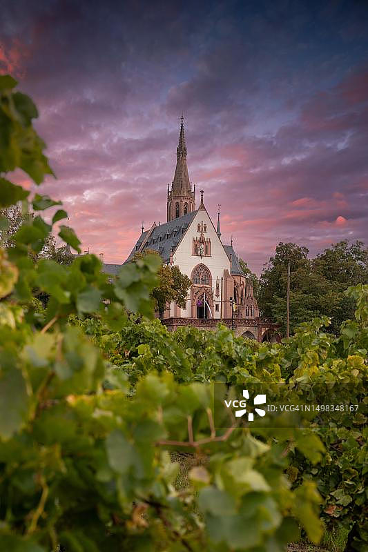 圣罗库斯礼拜堂，位于德国宾根莱茵河畔的绿色葡萄园附近图片素材