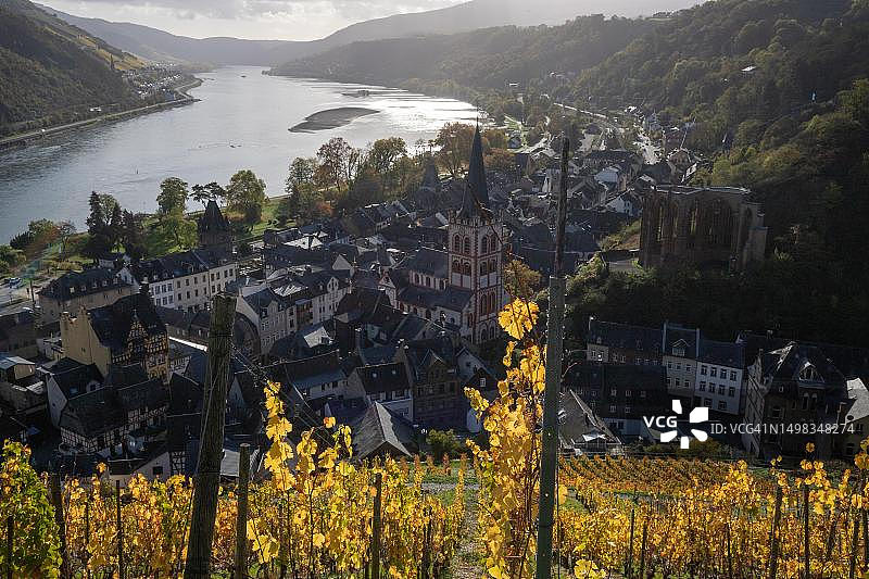 莱茵河畔的秋季葡萄园：眺望德国巴哈拉赫古镇图片素材