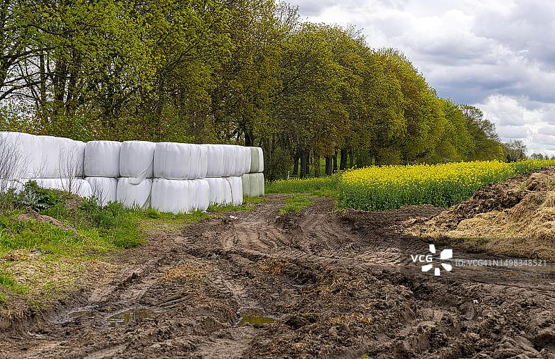 德国柏林农业田地上的干草捆和粪堆图片素材