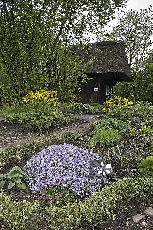 德国不莱梅的乡村花园，有匍匐福禄考和豹斑图片素材