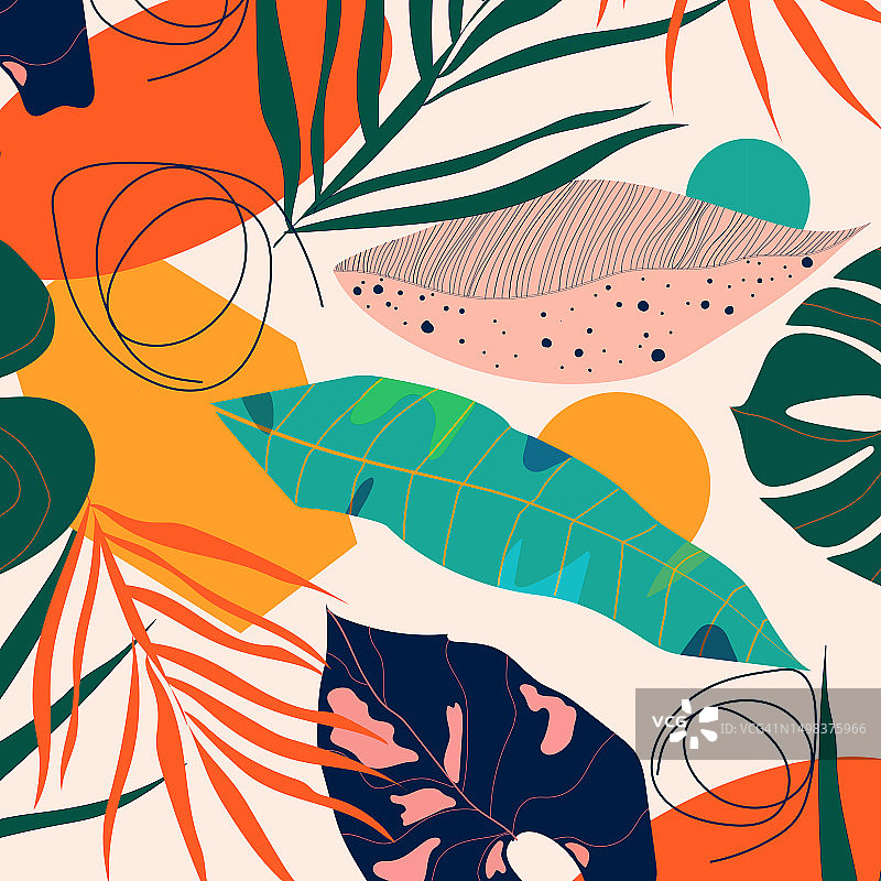 热带雨林植物背景：棕榈叶与异域花卉壁纸图片素材