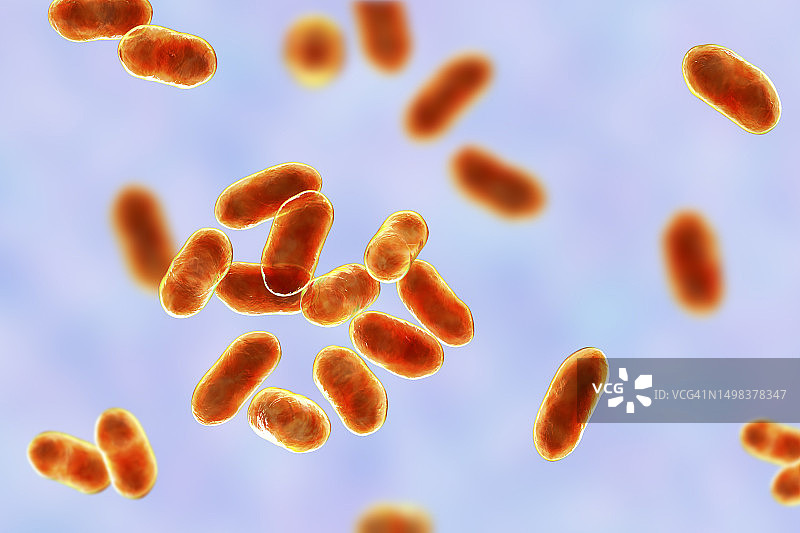 普雷沃菌细菌，图示图片素材