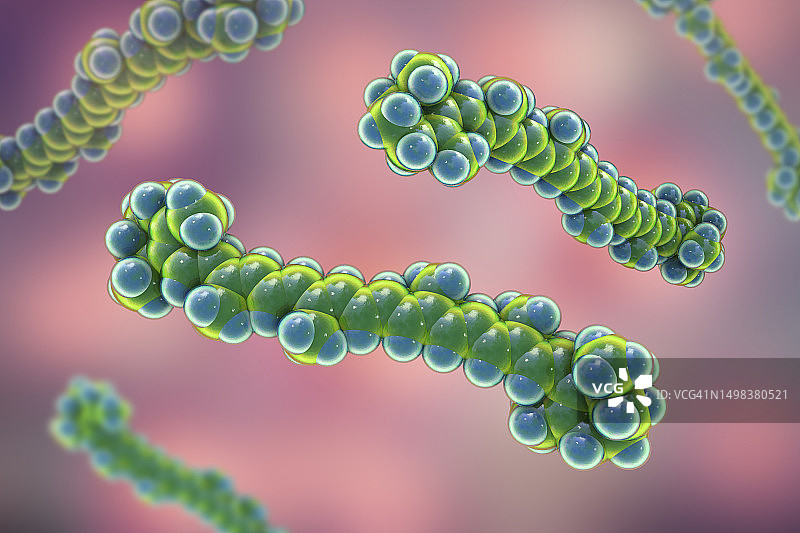 β-胡萝卜素分子模型插画图片素材