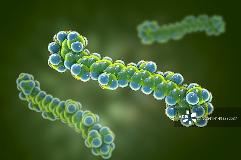 β-胡萝卜素分子模型插画图片素材