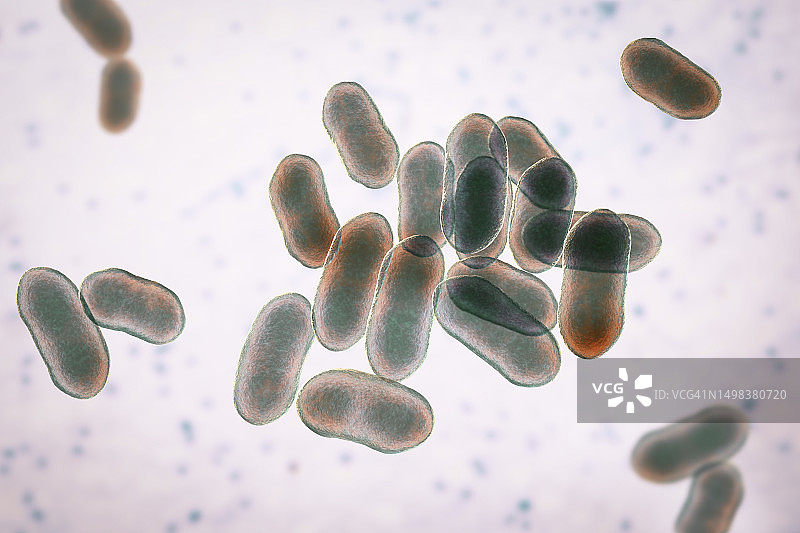 普雷沃菌细菌，图示图片素材