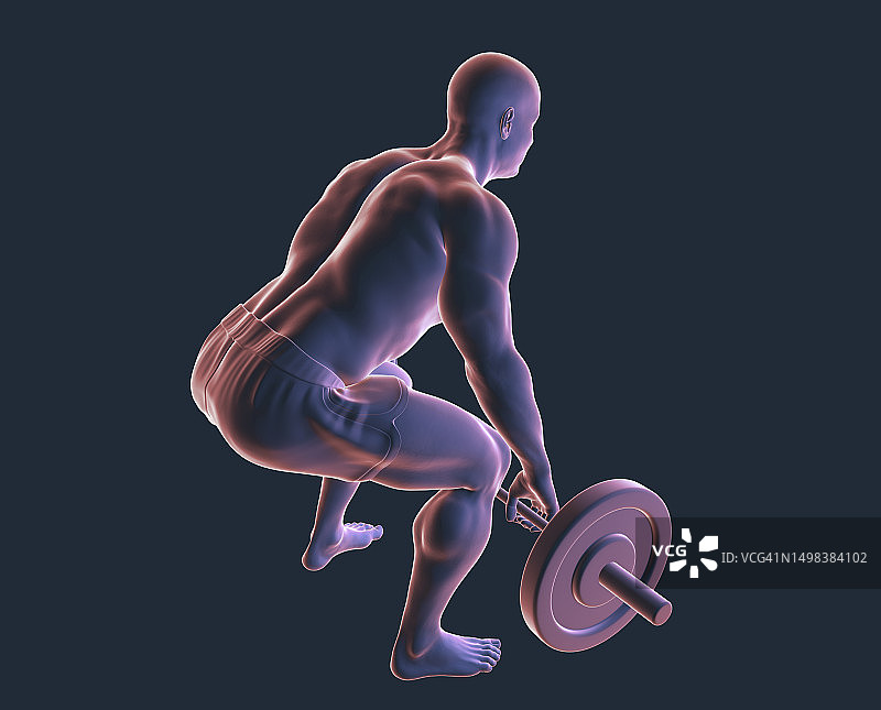 男子举杠铃插画图片素材