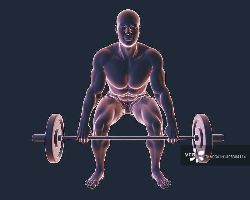 男子举杠铃插画图片素材