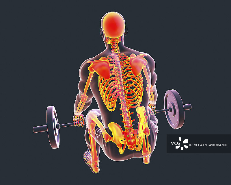 男子因背痛举杠铃插画图片素材