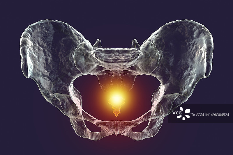 尾骨疼痛概念图图片素材