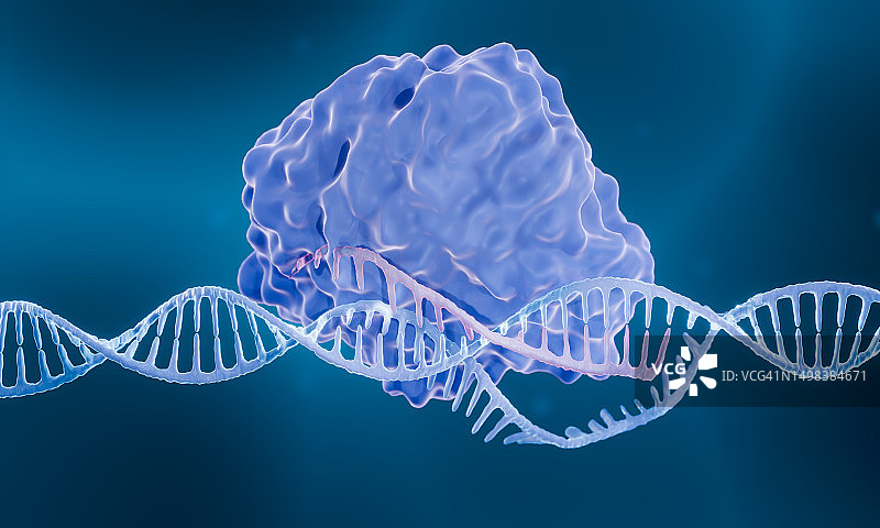 CRISPR-Cas9插图图片素材