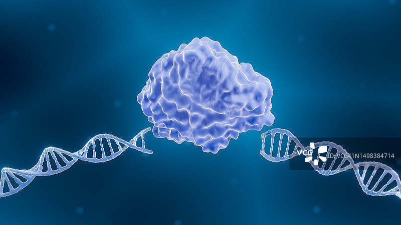 核酸内切酶插图图片素材