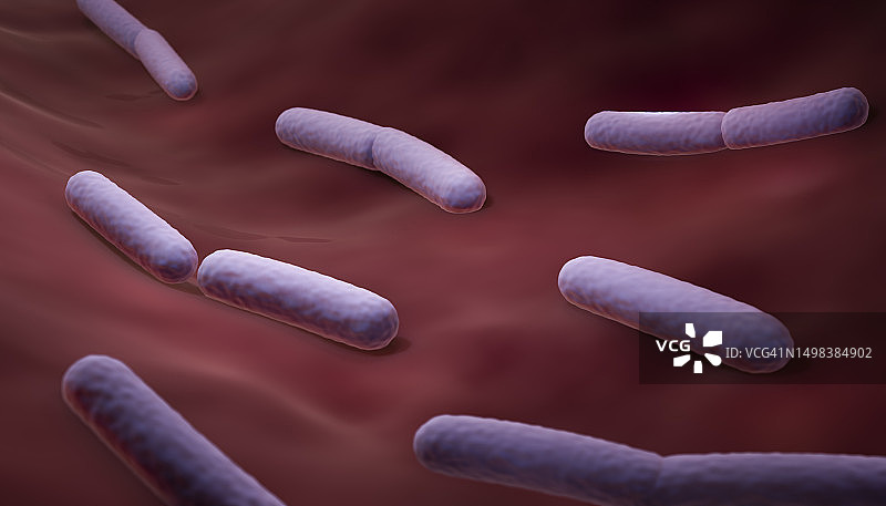 乳酸杆菌图片素材