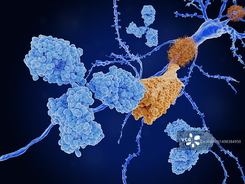 抗体结合淀粉样β肽插画图片素材