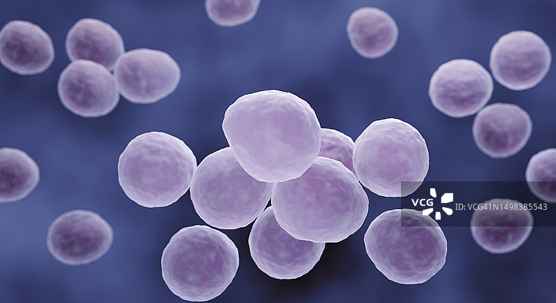 支原体细菌图示图片素材