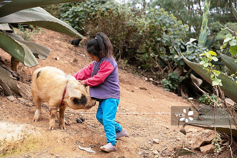 可爱的小女孩站在猪旁边图片素材