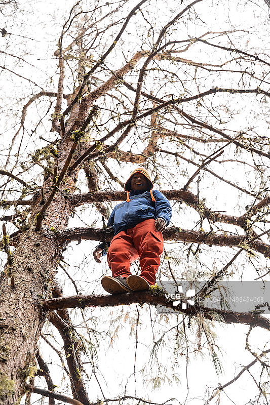 站在树枝上的孩子图片素材