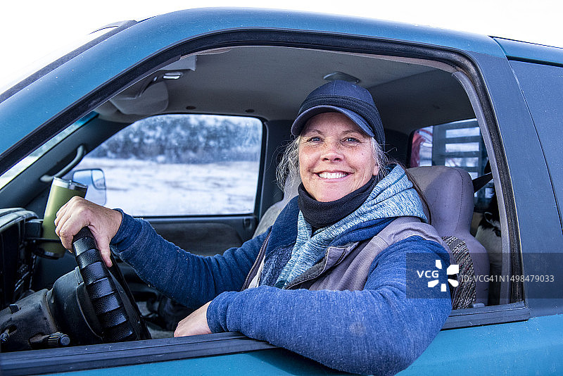 蒙大拿州的冬季产犊季节图片素材