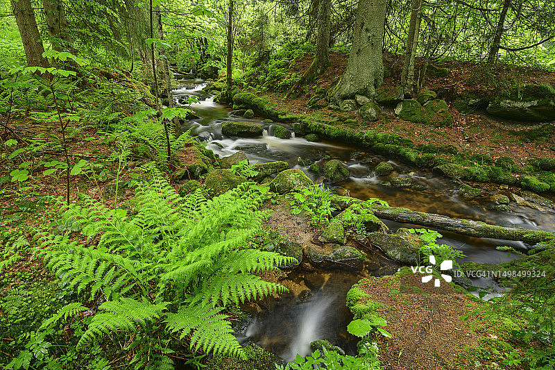 德国巴伐利亚，巴伐利亚森林国家公园中小奥厄溪流的长曝光图片素材