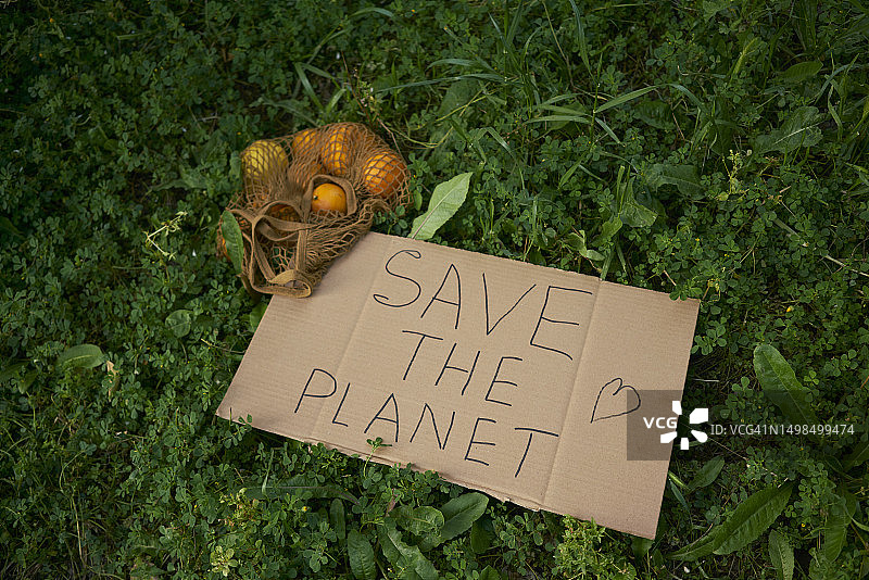 带有橙子的网格袋图片素材