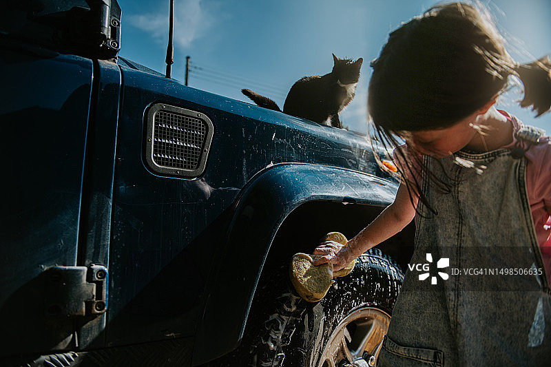 一个孩子正在清洗一辆四驱车的巨大车轮，她的猫从引擎盖上的栖木上观看图片素材